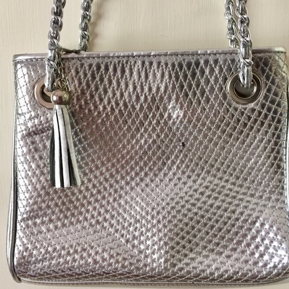 Elegant Silver Purse